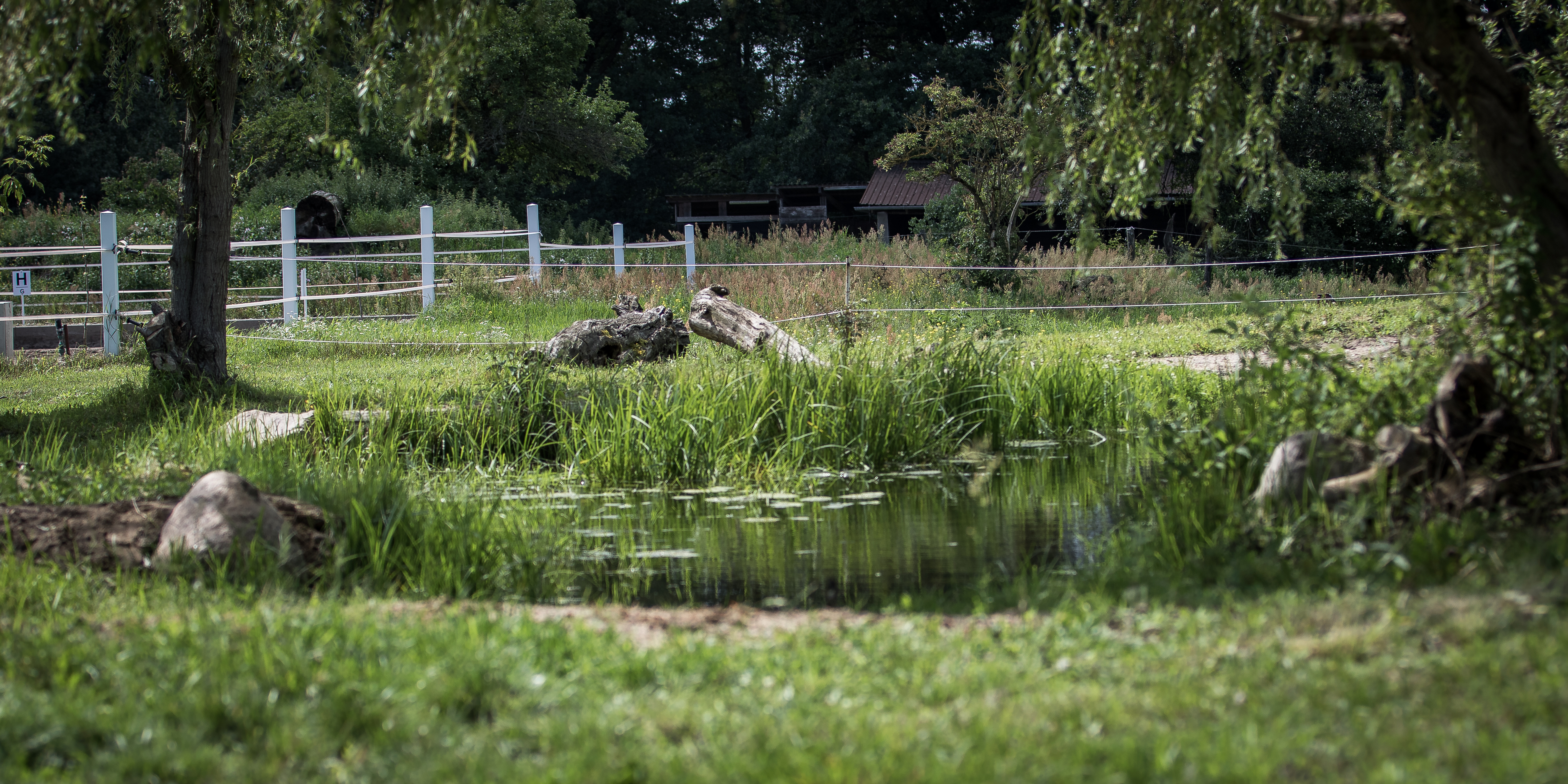 Wasserstelle
